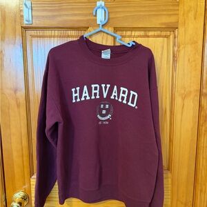 Gildan Maroon Women's Sweater
